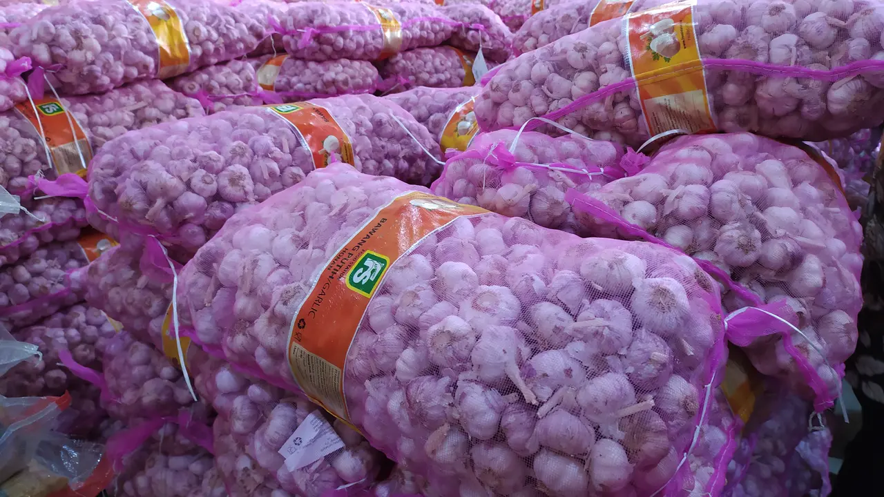 Bawang Putih