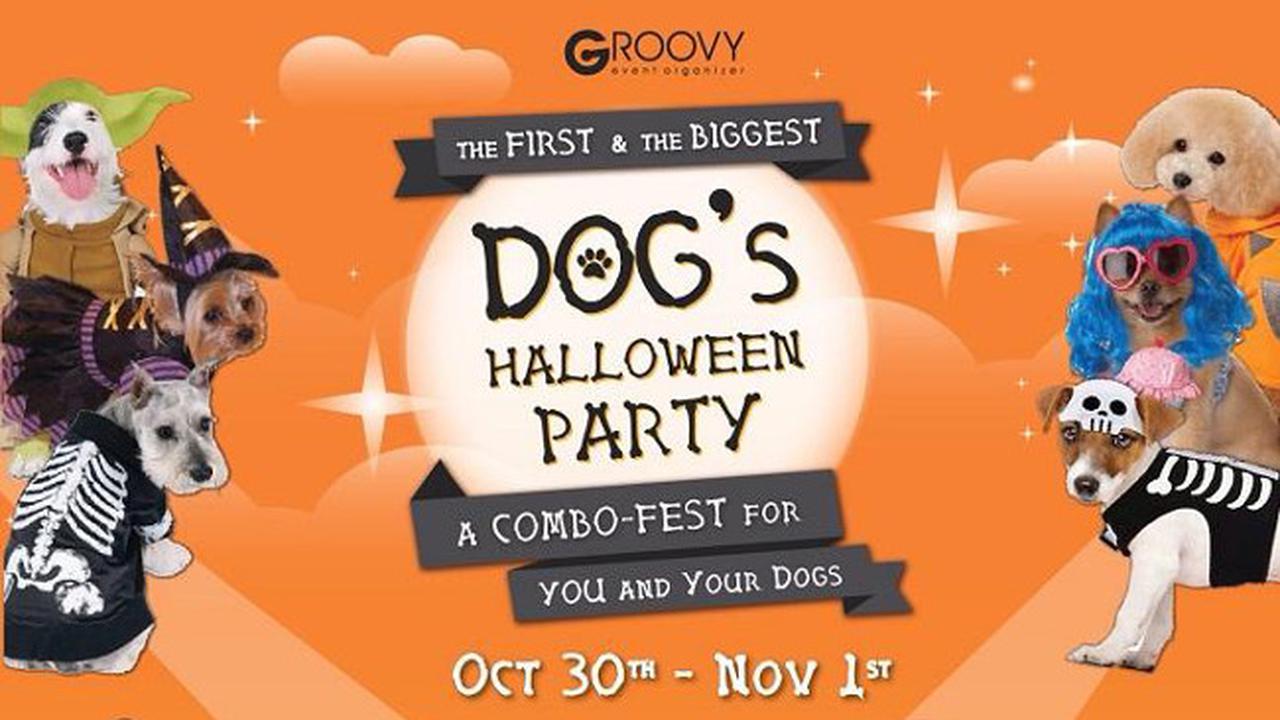 Dog's Halloween Party 2015 - Lippo Mall Kemang 1015