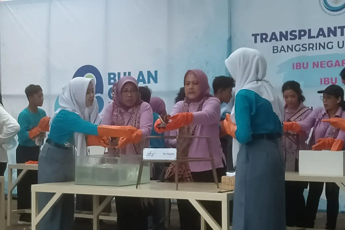 Iriana Jokowi melakukan transplantasi dan penanaman puluhan bibit terumbu karang di Bangsring Banyuwangi. (Hermawan/Liputan6.com)