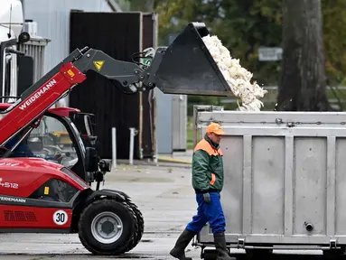 Hewan unggas mati berada di sekop sebuah wheel loader dibuang ke dalam kontainer setelah hewan-hewan tersebut dipotong di sebuah peternakan di Neutrebbin, Jerman, pada Senin 27 Oktober 2025, di tengah wabah flu burung yang meluas. (RALF HIRSCHBERGER/AFP)