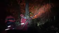 Titik Api di Taman Nasional Babul Bermunculan