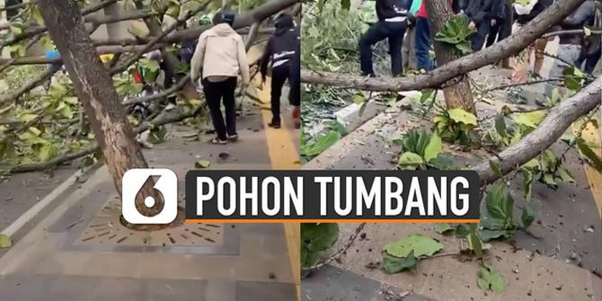 VIDEO: Viral Pohon Tumbang di Daerah Bundaran Senayan