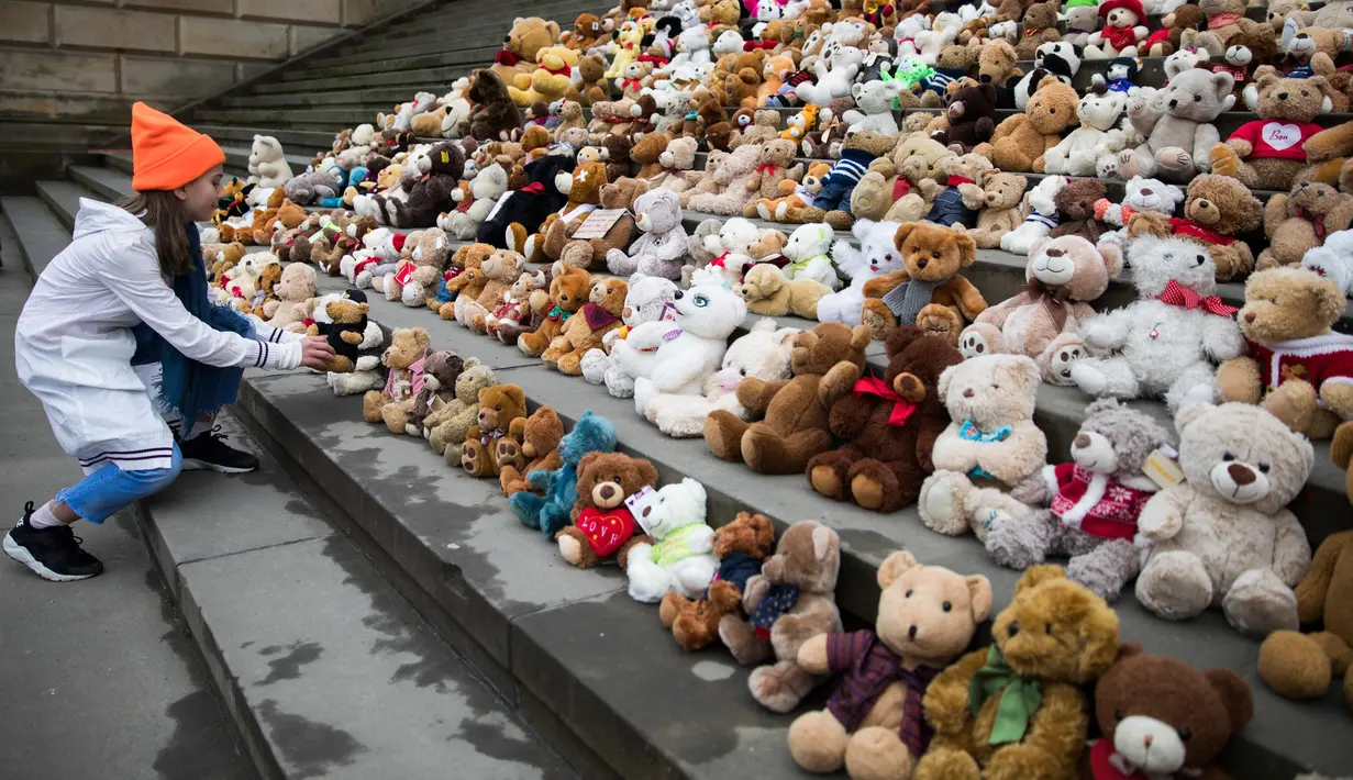 Seorang siswa meletakkan satu boneka beruang atau Teddy Bears di tangga Concert Hall, Berlin, Kamis (15/3). Kelompok bantuan kemanusiaan World Vision melakukan aksi pengumpulan 740 boneka beruang. (AFP PHOTO/Odd ANDERSEN)