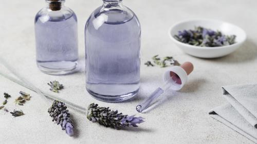 Ilustrasi wangi lavender untuk aromaterafi/freepik.com/jcomp