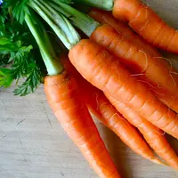 Wortel. (Foto: eatbelive.files.wordpress.com)