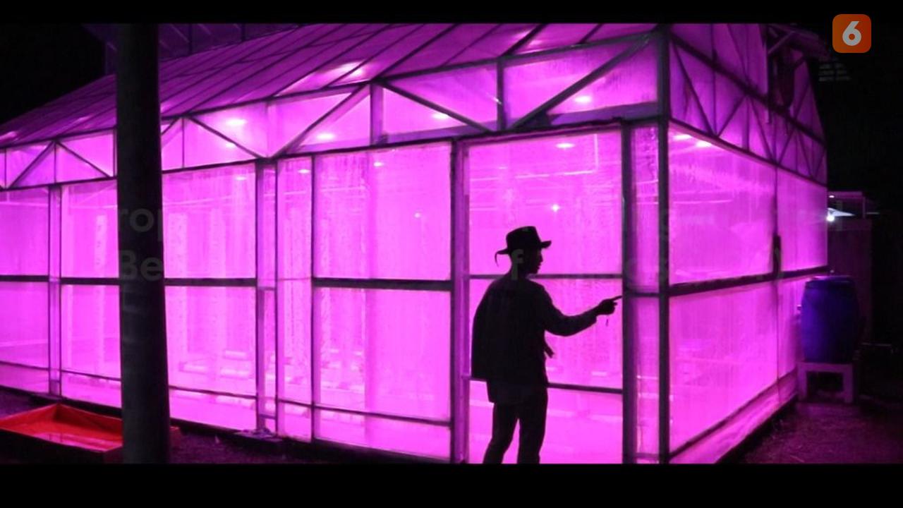 Urban Farming atau pertanian di perkotaan