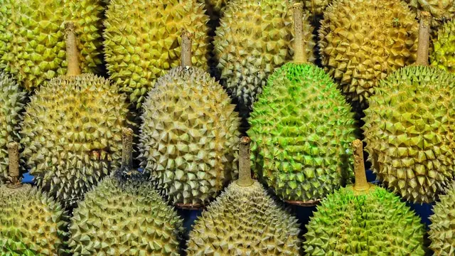 Arti Mimpi Makan Durian yang Bermakna Baik