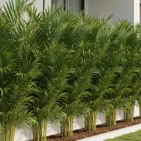 Tanaman Hias Cocok Buat Pagar Minimalis (Image by Gemini AI)