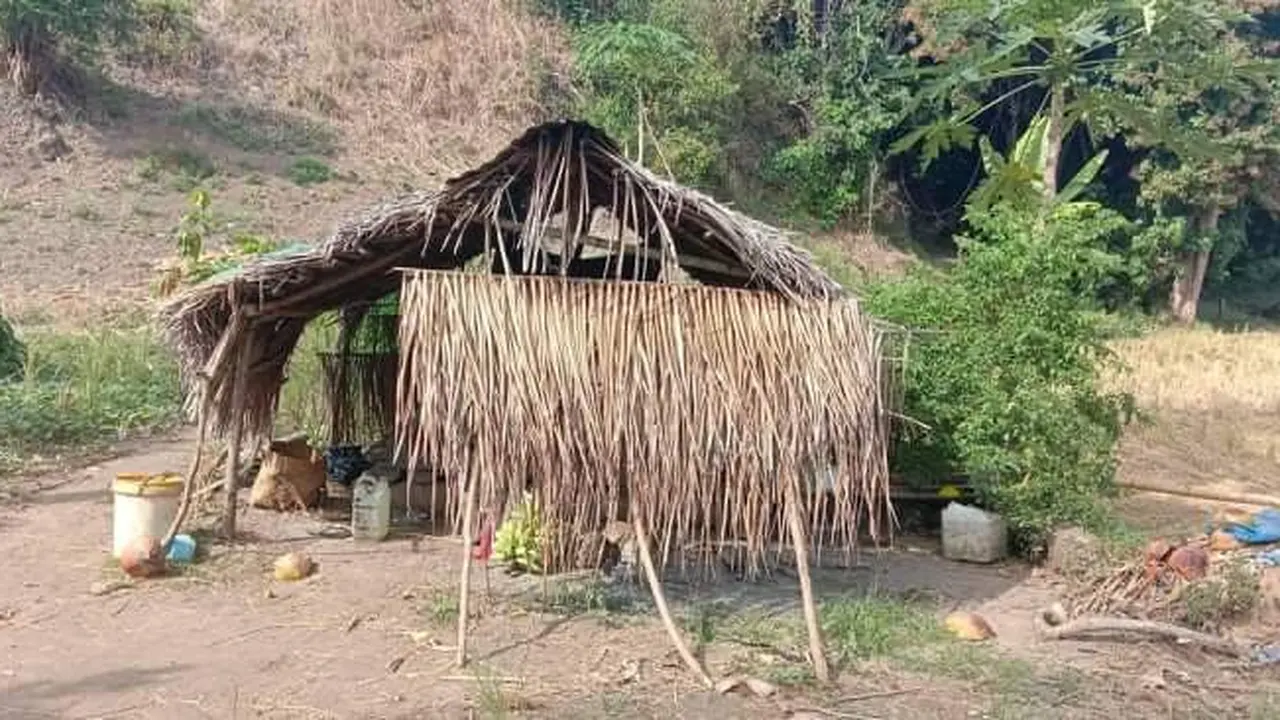 karantina di tengah kebun