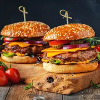 ilustrasi burger/VasiliyBudarin/Shutterstock