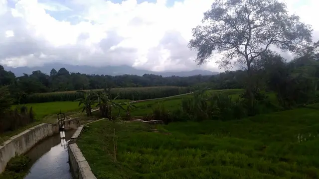Program RJIT Kementan