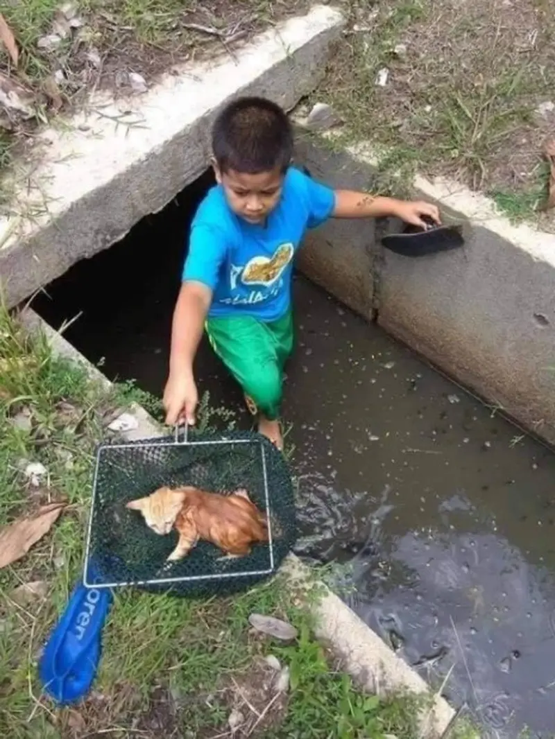 Viral, Aksi Heroik Bocah Nekat Masuk Got untuk Selamatkan Nyawa Anak Kucing