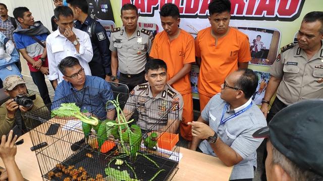 Polisi memperlihatkan barang bukti satwa dilindungi yang disita dari dua tersangka.