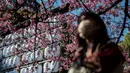 Rekor mekarnya bunga sakura di Tokyo sudah ada sejak 70 tahun yang lalu, dan bunga-bunga berwarna putih-merah muda yang lembut ini baru muncul lebih awal pada tahun 2021 dan 2020, menurut badan cuaca. (Photo by Richard A. Brooks / AFP)