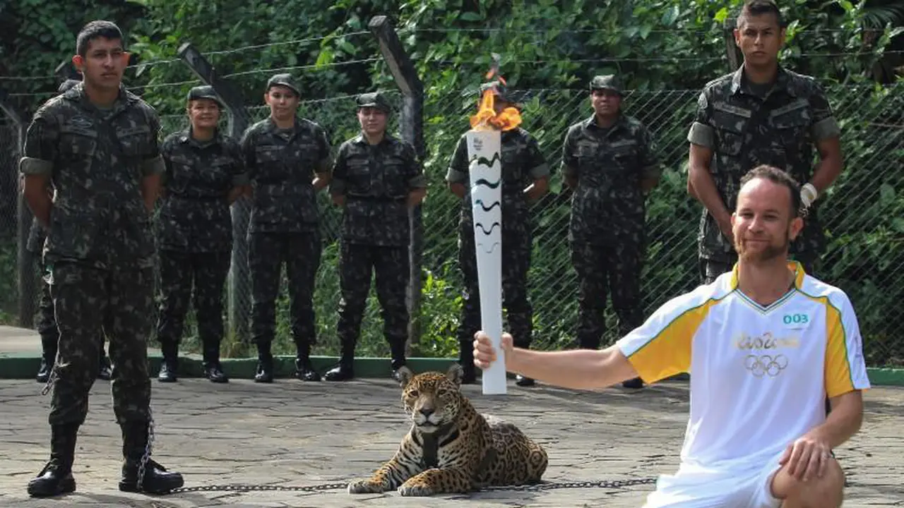 [Bintang] Jaguar ditembak mati
