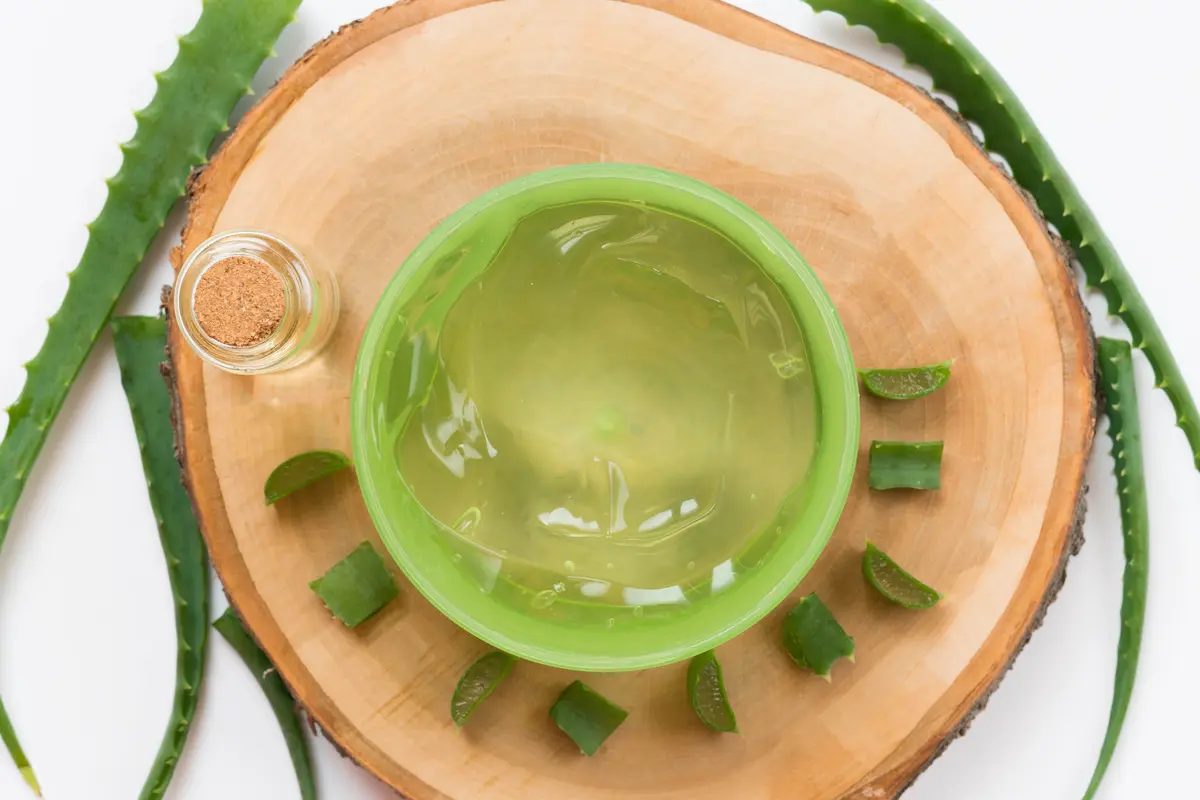 Aloe Vera