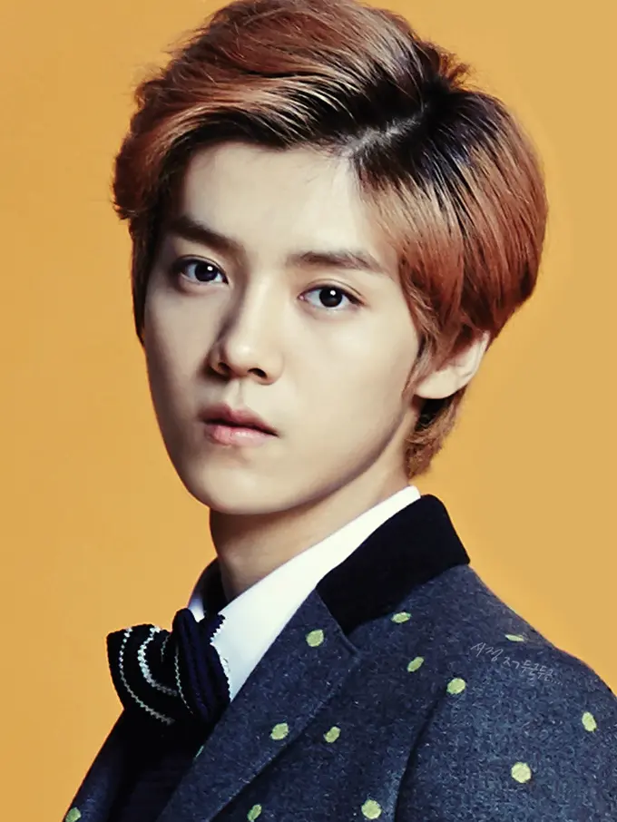 [Bintang] Gara-gara Wajahnya Terlalu Tampan, Luhan Eks EXO Gagal Nikah