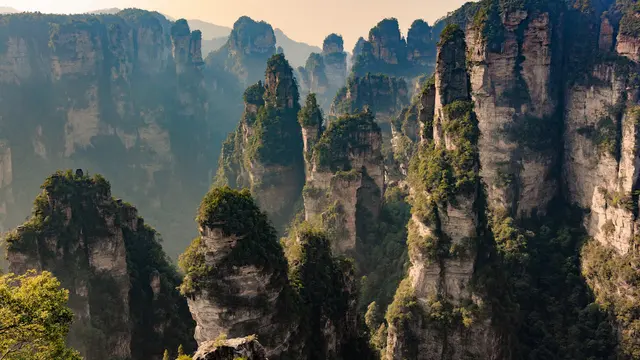 Zhangjiajie National Forest