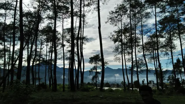 Sayuran Segar, Sayuran Sehat