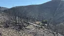 Sebelumnya, kebakaran hutan yang cepat meluas mencapai wilayah pinggiran Marseille menyebabkan sedikitnya 110 orang terluka dan memaksa 400 warga dievakuasi. (Viken KANTARCI/AFP)