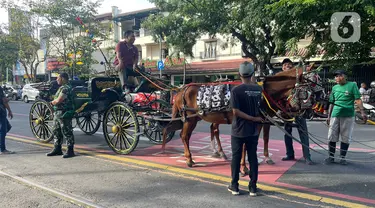 Petugas mempersiapkan kuda saat geladi bersih di kawasan Slamet Riyadi, Solo, Jawa Tengah, Sabtu (10/12/2022). Sebanyak 12 kereta kuda untuk cadangan, disiapkan untuk kirab ngunduh mantu pernikahan putra bungsu Presiden Joko Widodo, Kaesang Pangarep dengan Erina Gudono, Minggu (11/12) di Solo. (Liputan6.com/Herman Zahkaria)