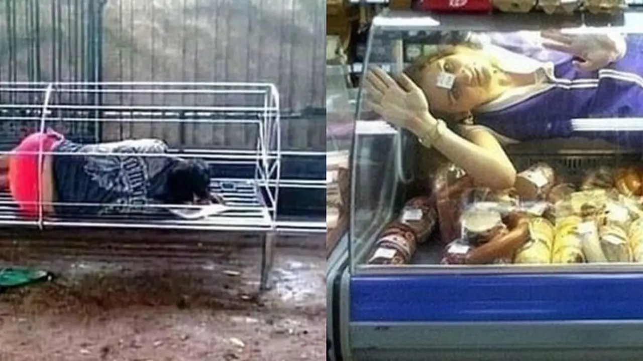 6 Tingkah Absurd Orang Rebahan di Tempat Tak Terduga, Netizen: Kok Bisa Ya?