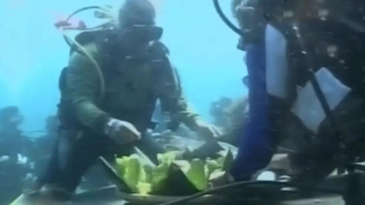 Tumpengan Dalam Laut, Bentuk Syukur Gerakan Sejuta Terumbu Karang