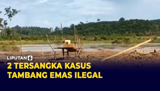 VIDEO: Polisi Tetapkan 2 Tersangka Kasus Tambang Emas Ilegal