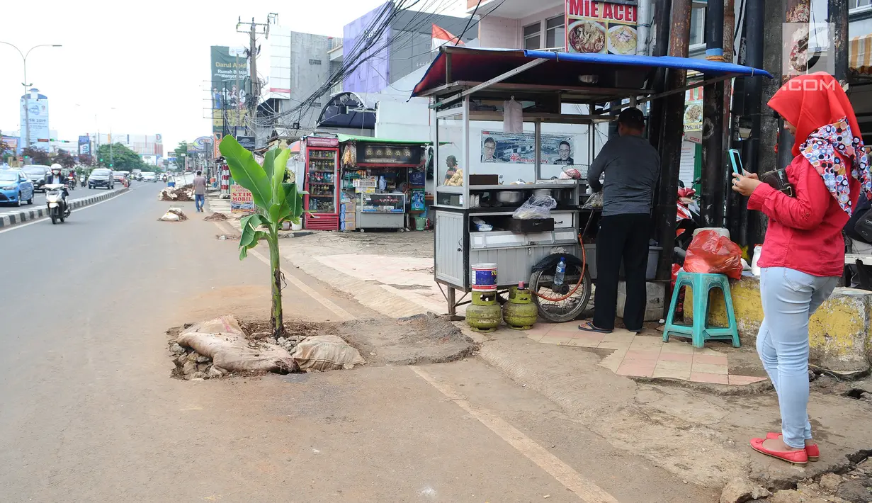 Warga mengambil gambar lubang bekas galian yang ditanami pohon pisang di Jalan Raya Margonda, Depok, Senin (4/3/2019). Aksi tanam pohon pisang itu sebagai protes warga akibat banyaknya lubang galian di Jalan Margonda. (Liputan6.com/Herman Zakharia)