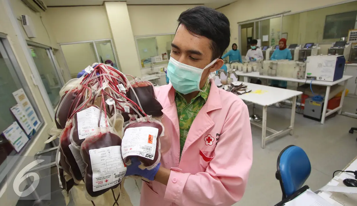 Petugas memperlihatkan kantong darah di kantor PMI DKI Jakarta, Jumat (24/6). Meskipun terdapat penurunan, namun stok darah di Ibu Kota relatif aman selama Ramadan dengan jumlah sekitar 800-1.500 kantong perhari. (Liputan6.com/Immanuel Antonius)