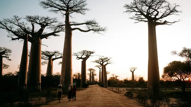 Madagascar