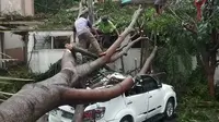 Hujan deras di Kabupaten Cianjur, Jawa Barat menyebabkan sejumlah pohon tumbang. Salah satunya menimpa mobil Toyota Fortuner yang terparkir di halaman Kantor Pemkab Cianjur. (Achmad Sudarno/Liputan6.com)