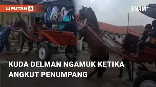 VIDEO: Kuda Delman Ngamuk Ketika Angkut Penumpang di Pasar Comal, Pemalang