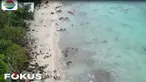 Dengan perairan seluas 2600 hektar, Pulau Rubiah terkenal dengan taman lautnya yang menakjubkan.