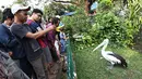 Pengunjung mengabadikan seekor burung Pelikan di Kebun Binatang Ragunan, Jakarta, Jumat (1/1). Jumlah pengunjung Taman Margasatwa Ragunan pada libur awal tahun 2016 mencapai lebih dari 100.000 orang. (Liputan6.com/Immanuel Antonius)