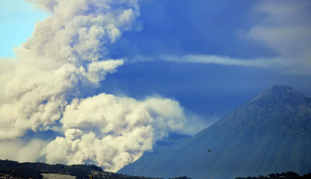 Gunung Fuego mengeluarkan abu tebal terlihat dari kota Antigua, Sacatepequez, 45 km tenggara Kota Guatemala (1/2). (AFP Photo/Johan Ordonez)