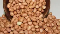 Kreasi Sajian Vegetarian dengan Kacang Tanah, Lezat dan Kaya Manfaat