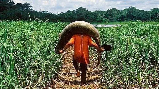 6 Potret Tangkapan Hasil Mancing Ini Bikin Mata Melotot