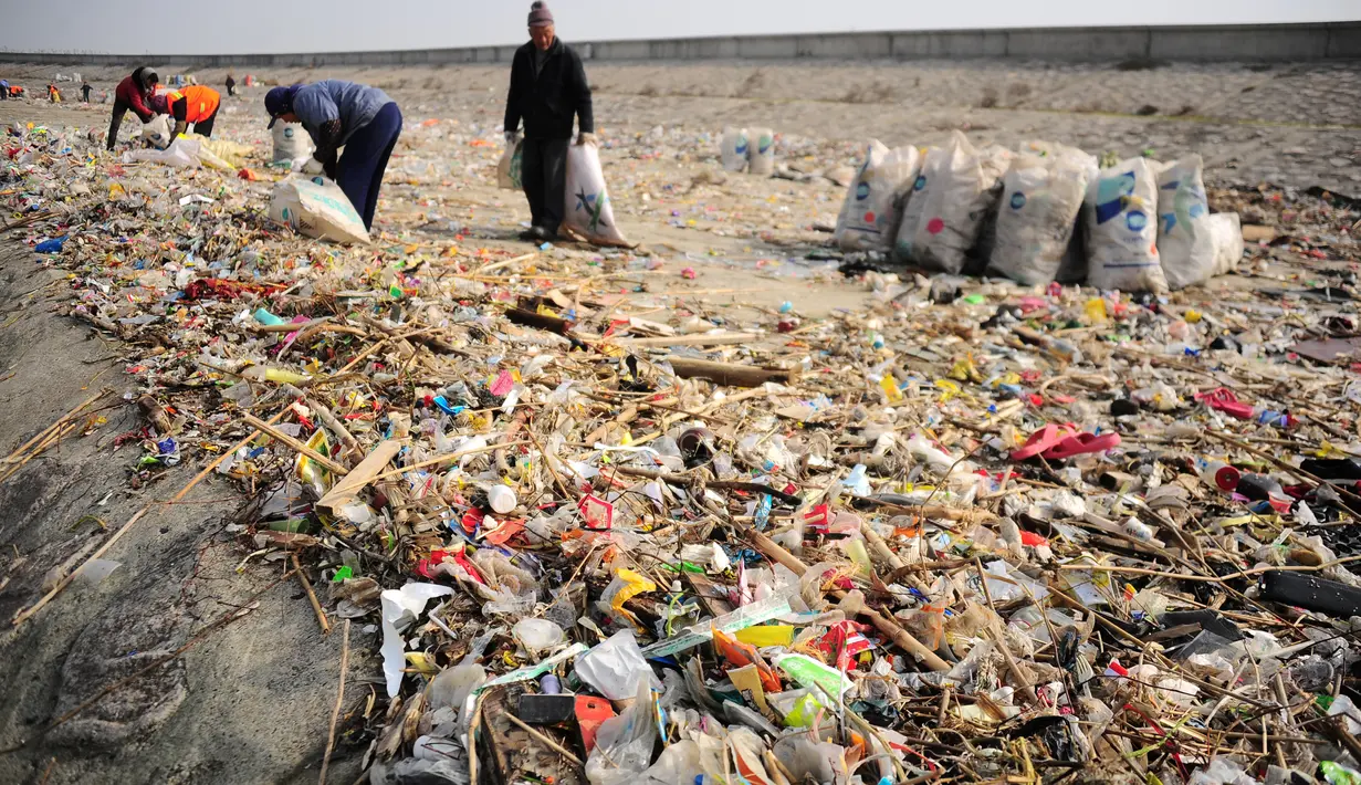 Tumpukan sampah ini diduga disebabkan oleh dua buah kapal yang sengaja membuang limbah di Sungai Yangyze Taicang, Jiangsu, Tiongkok (23/12). Diperkirakan sampah di pulau ini mencapai 100 ton. (REUTERS/Stringer)