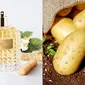 Perusahaan Ini Produksi Parfum Beraroma Kentang Goreng, Bikin Penasaran (Sumber: Instagram/idahopotatoes, Pixabay)