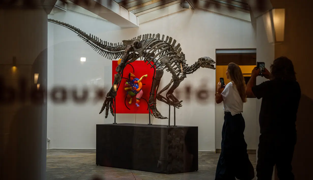 Pengunjung melihat kerangka Barry, spesimen besar Camptosaurus dari akhir periode Jurassic, yang dipajang sebelum dilelang di galeri Georges-Philippe & Nathalie Vallois, Paris, Senin (18/9/2023). (Dimitar DILKOFF / AFP)