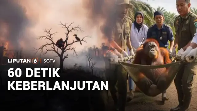 Akibat Kebakaran Hutan Satwa Langka Kehilangan Tempat Tinggal