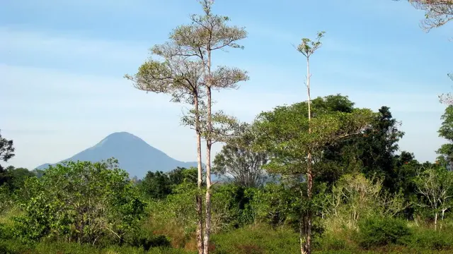 Pemandangan Gunung Klabat di Sulawesi Utara.