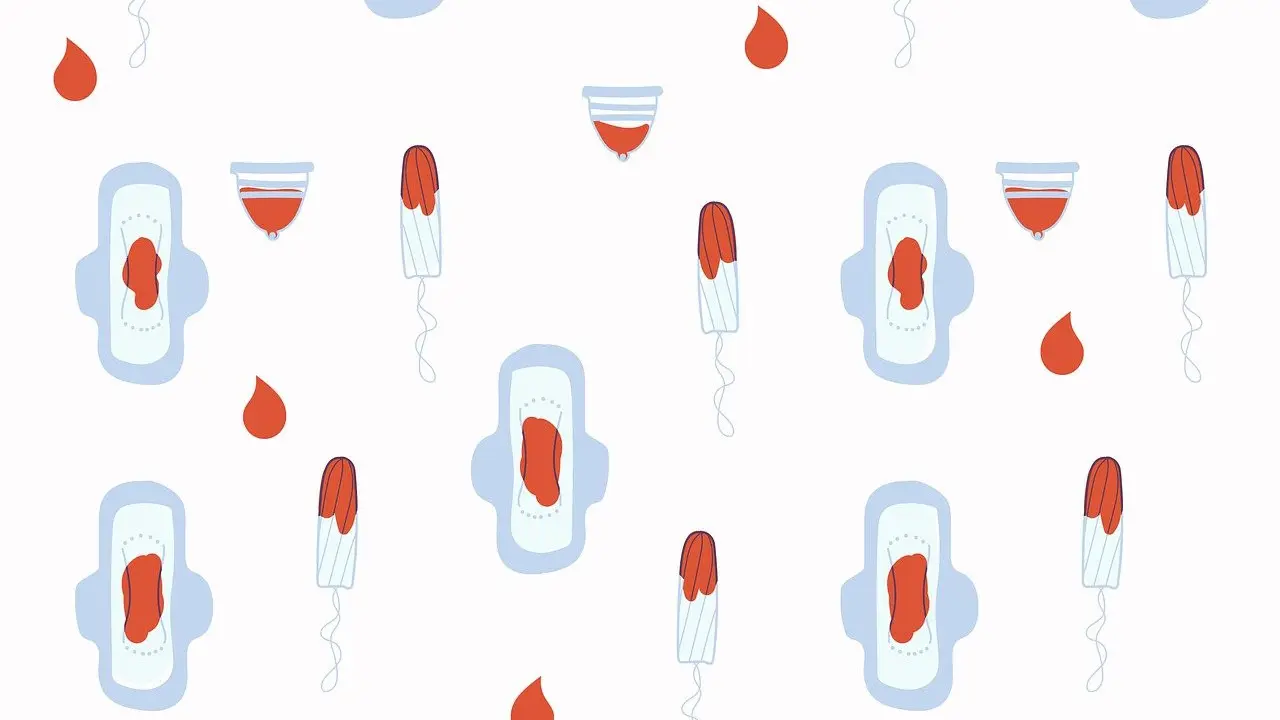 Wajib Tahu, Ini 5 Warna Darah Menstruasi yang Normal (Dok. Pixabay/Bianca Van Dijk)