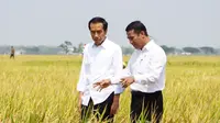 Menteri Pertanian (Mentan) Andi Amran Sulaiman mendampingi Presiden RI Joko Widodo (Jokowi) melakukan panen raya padi di Desa Sonorejo, Kecamatan Sukoharjo, Kabupaten Sukoharjo, Jawa Tengah. (Foto: Kementerian Pertanian)