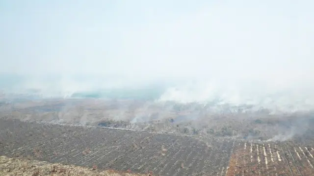 Kebakaran lahan di Pelalawan dari pantauan udara masih mengepulkan asap tebal.
