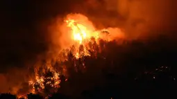 Api saat melahap hutan di Les Pennes-Mirabeau, Marseille, Prancis, (11/8). Prancis mengerahkan 1.500 petugas pemadam untuk memadamkan api yang membakar lahan dan hutan di Marseille. (AFP PHOTO/BORIS HORVAT)