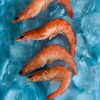 ilustrasi udang/copyright Unsplash/@amfl