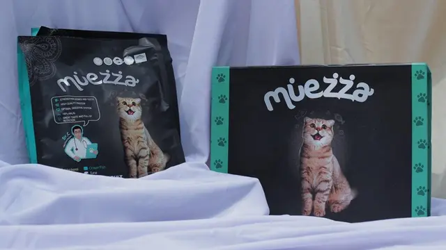 Minim Perawatan, Jangan Gagal Paham Cara Grooming Kucing Berbulu Pendek