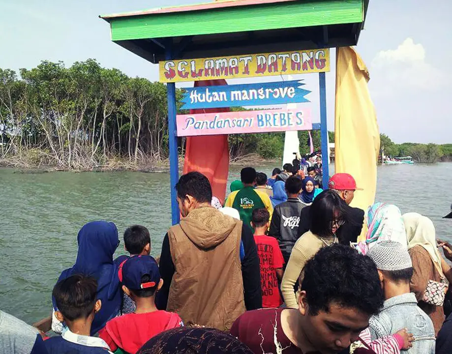 Jelajah hutan mangrove di Dukuh Pandansari, Desa Kaliwlingi, menjadi primadona baru wisata di Kabupaten Brebes, Jateng. (Liputan6.com/Fajar Eko Nugroho)